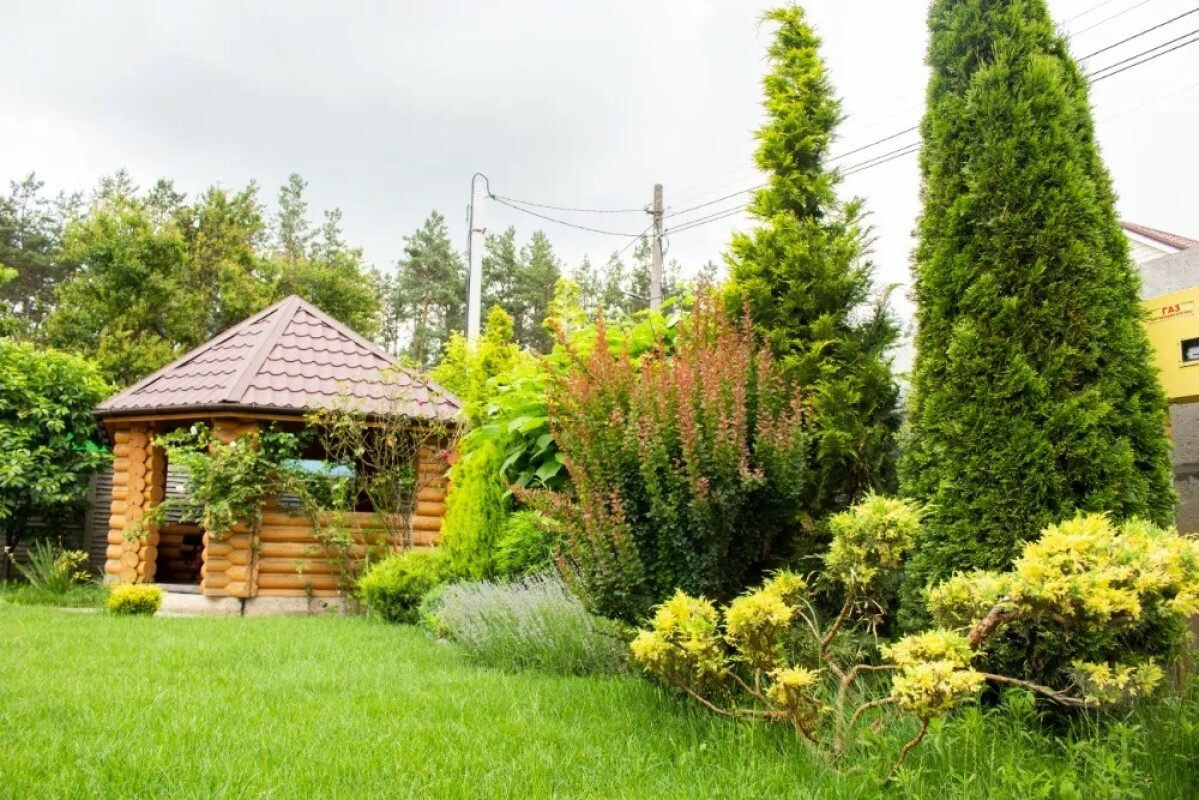 https://alupka.tgv-stroy.ru/storage/app/uploads/public/637/ef4/fb3/637ef4fb3605f391429275.png